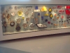 DSC05528 DSC05528