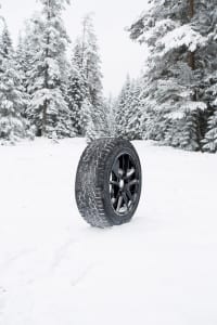 Espia_ice_full_snow