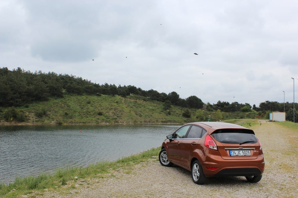 Ford Fiesta www.e-motoring.com