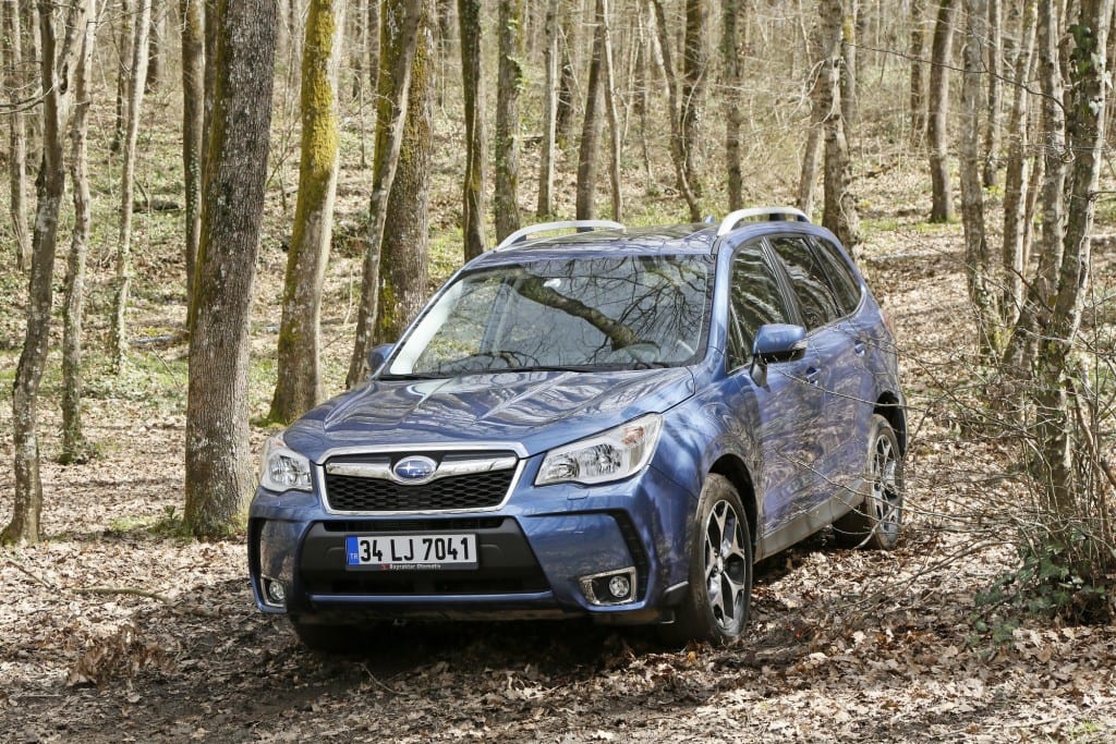 Forester (10)