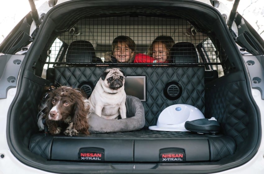  Köpek dostu ailelere özel X-Trail