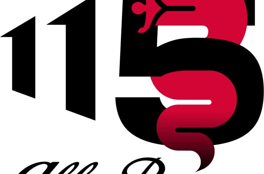  115. yaşa özel logo